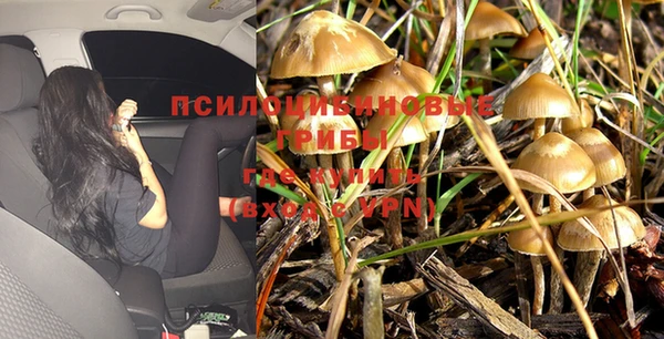 амф Алзамай
