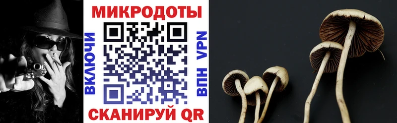 Галлюциногенные грибы GOLDEN TEACHER  ОМГ ОМГ ТОР  Березники  продажа наркотиков 